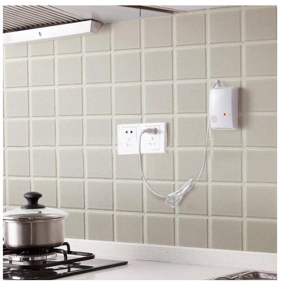 Detector de Gas Casero