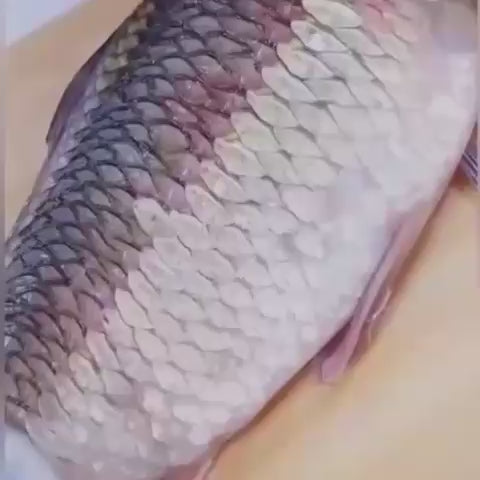 Descamador de Pescado